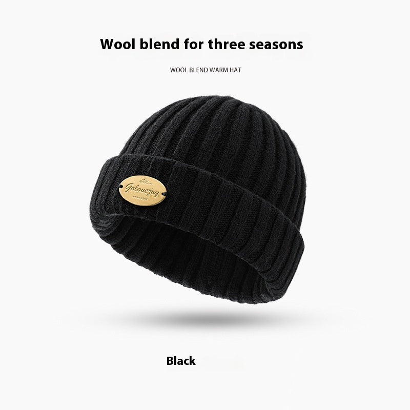 Autumn And Winter Wool Knitted Hat Men's Thick Windproof Warm Hat