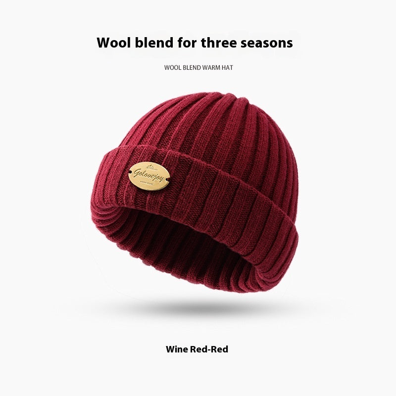 Autumn And Winter Wool Knitted Hat Men's Thick Windproof Warm Hat