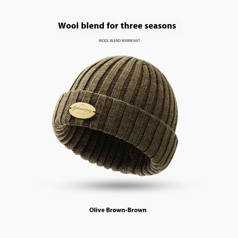 Autumn And Winter Wool Knitted Hat Men's Thick Windproof Warm Hat