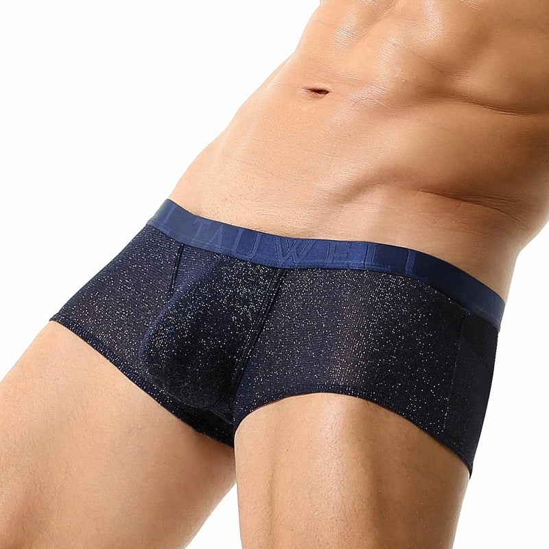 Men's Underwear Low Waist Sexy Mesh U Convex Men's Boxers Bright Men's Boxer Underwear